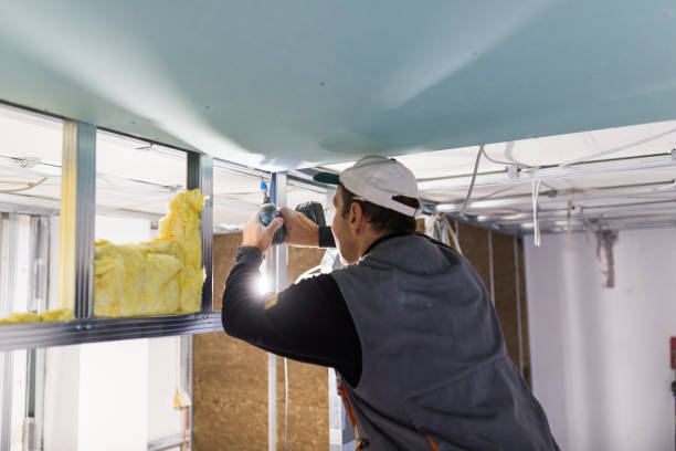 Best Commercial Insulation in Oblong, IL