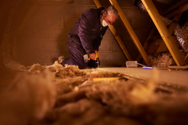 Best Residential Insulation in Oblong, IL